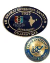 EBSB JUNAGADH  2025 NCC BADGE Gujarat Directorate