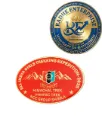 All India Girls Trekking Expedition 2026 Himachal Trek. PHHP & C Trek NCC GRoup Shimla NCC Badge