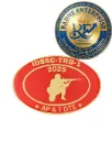 IDSSC-TRG-1 2026 AP & T DTE NCC Badge
