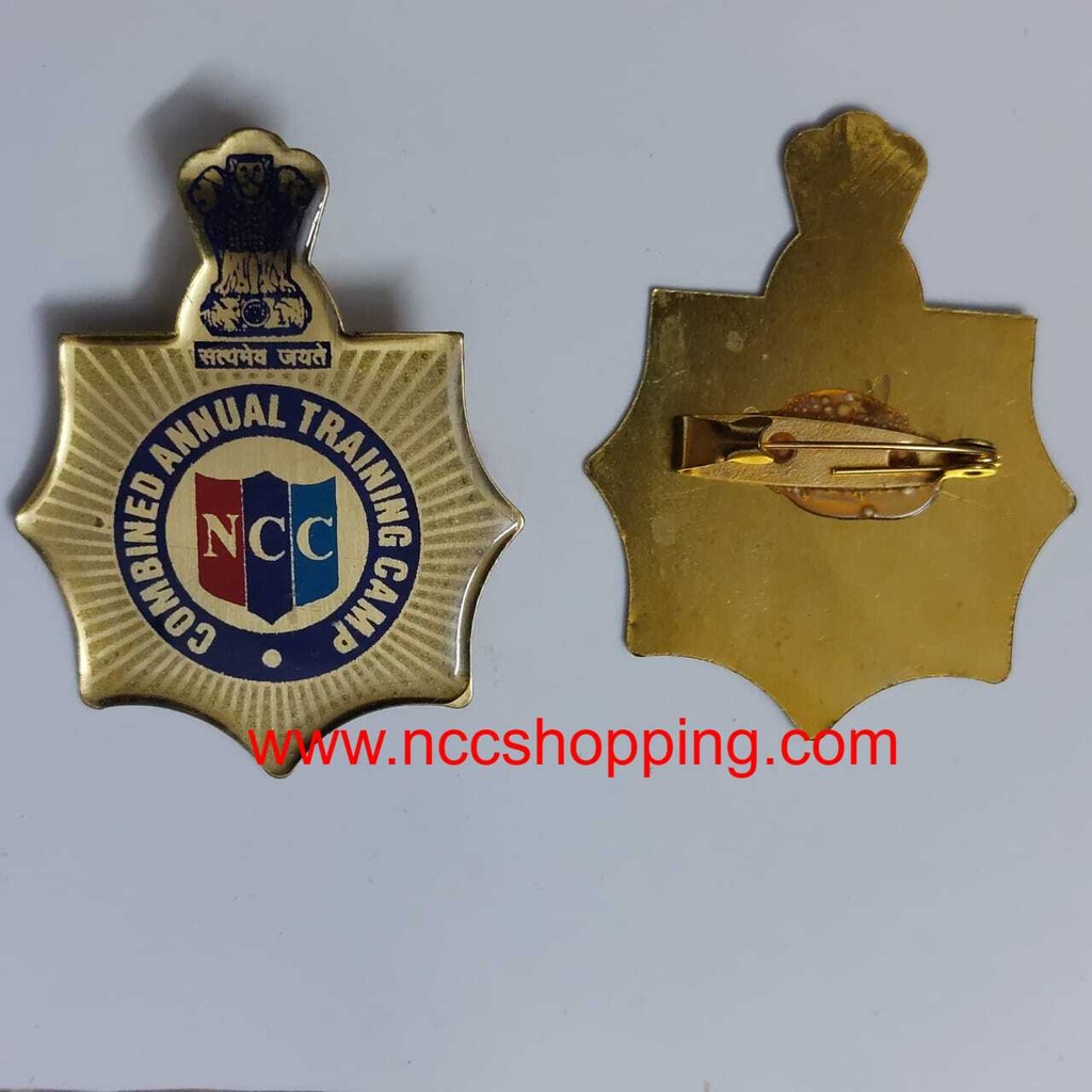 combined annual training camb badge metal