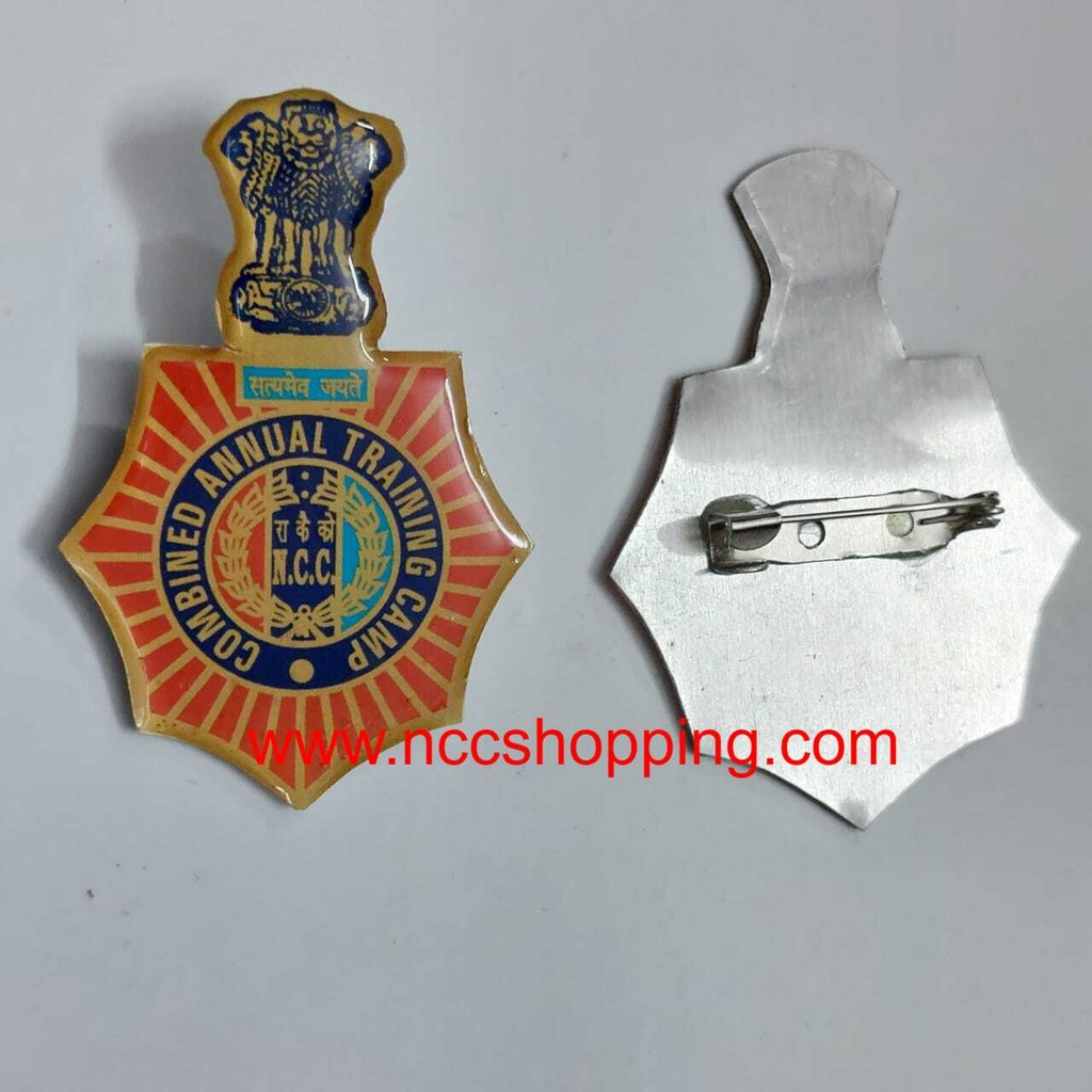 combined annual training camp NCC badge