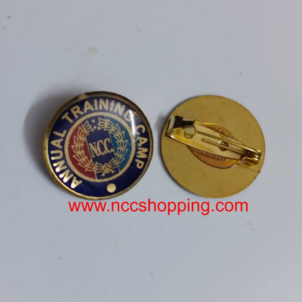 annual training Camp Ncc Badge