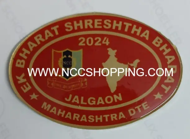 EBSB BADGE JALGAON MAHARASHTRA DTE