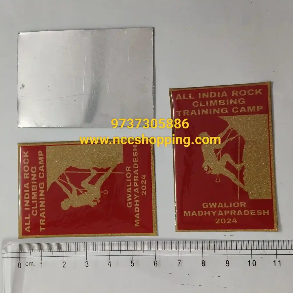 Rock climbing training camp gwalior ncc badge