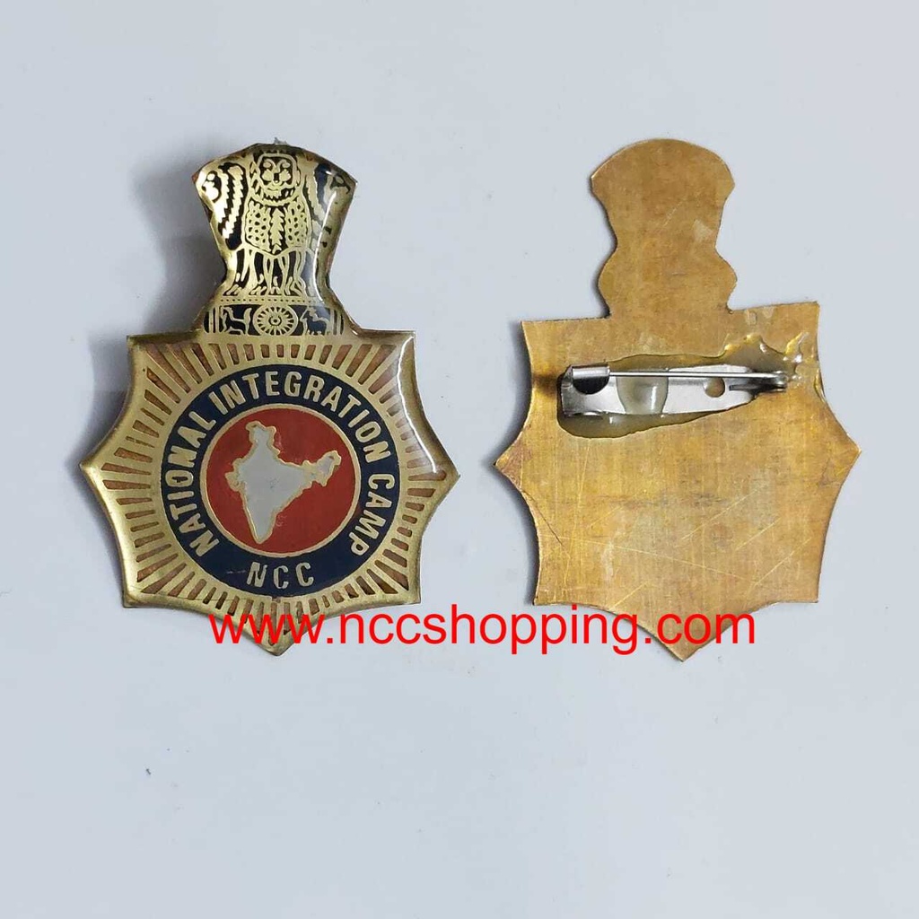 National integration camp ncc Badge