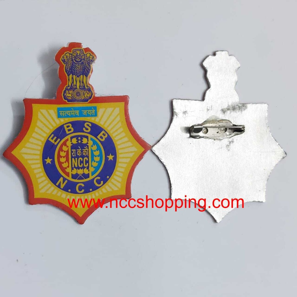 EBSB Ncc  Badge
