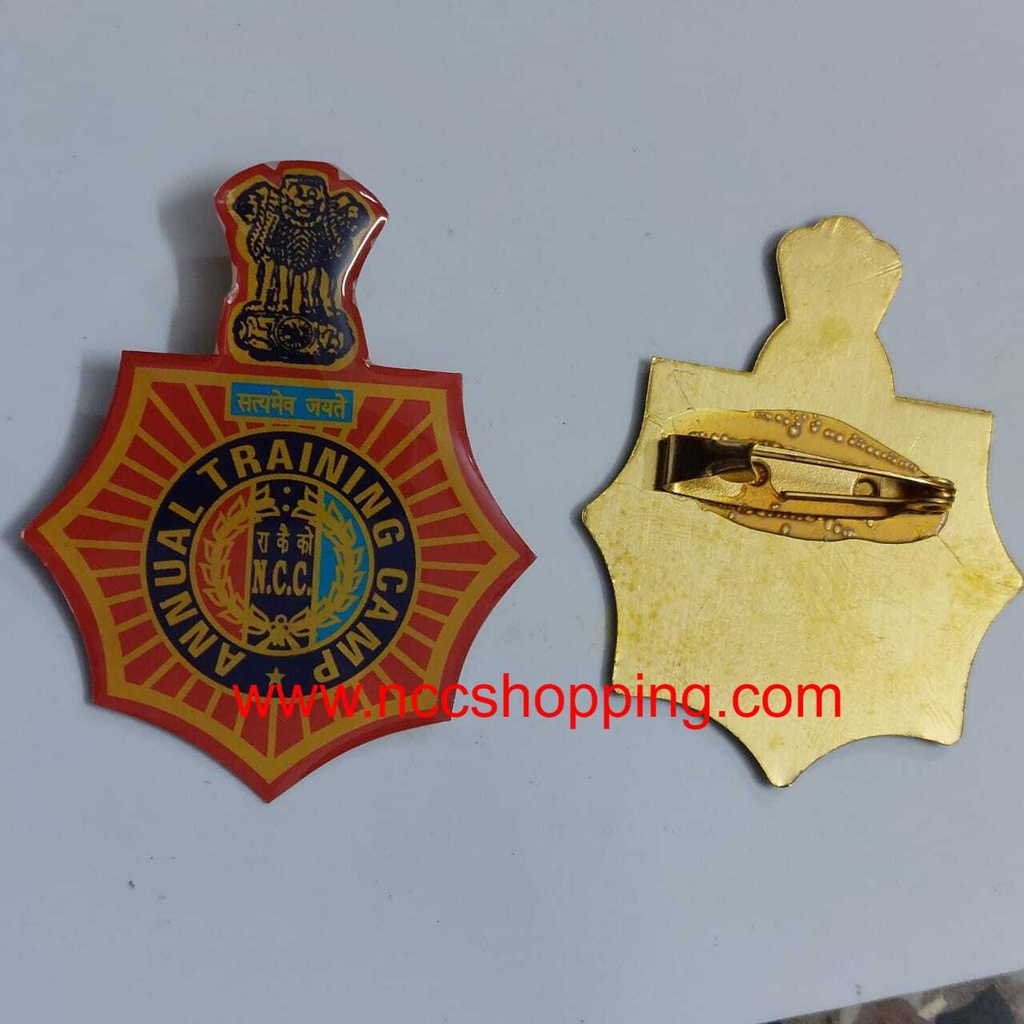 Annual training camp Ncc Badge 