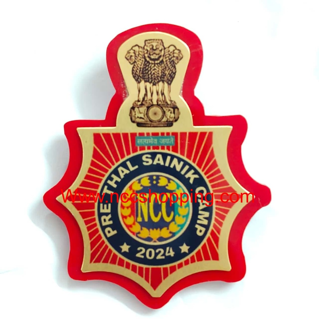 Pre Thal Sainik camp Ncc Badge