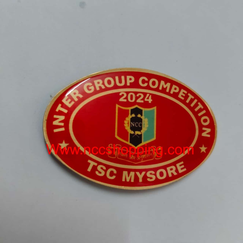 Inter group competition TSC my sore Ncc badge 
