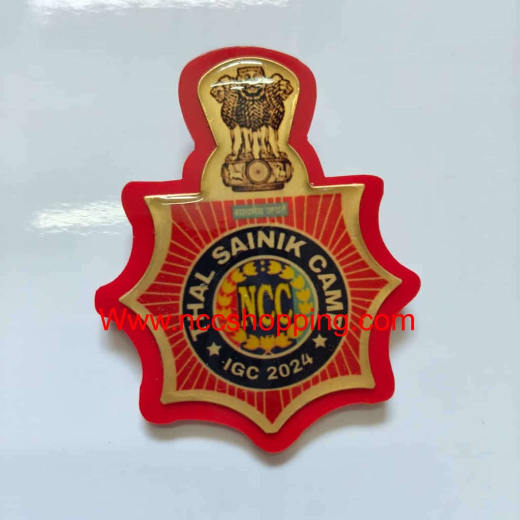 Thal Sainik camp IGC Ncc Badge