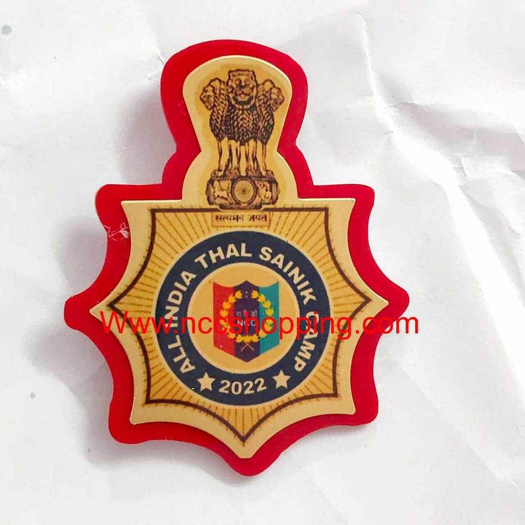 All India Thal Sainik camp Ncc Badge