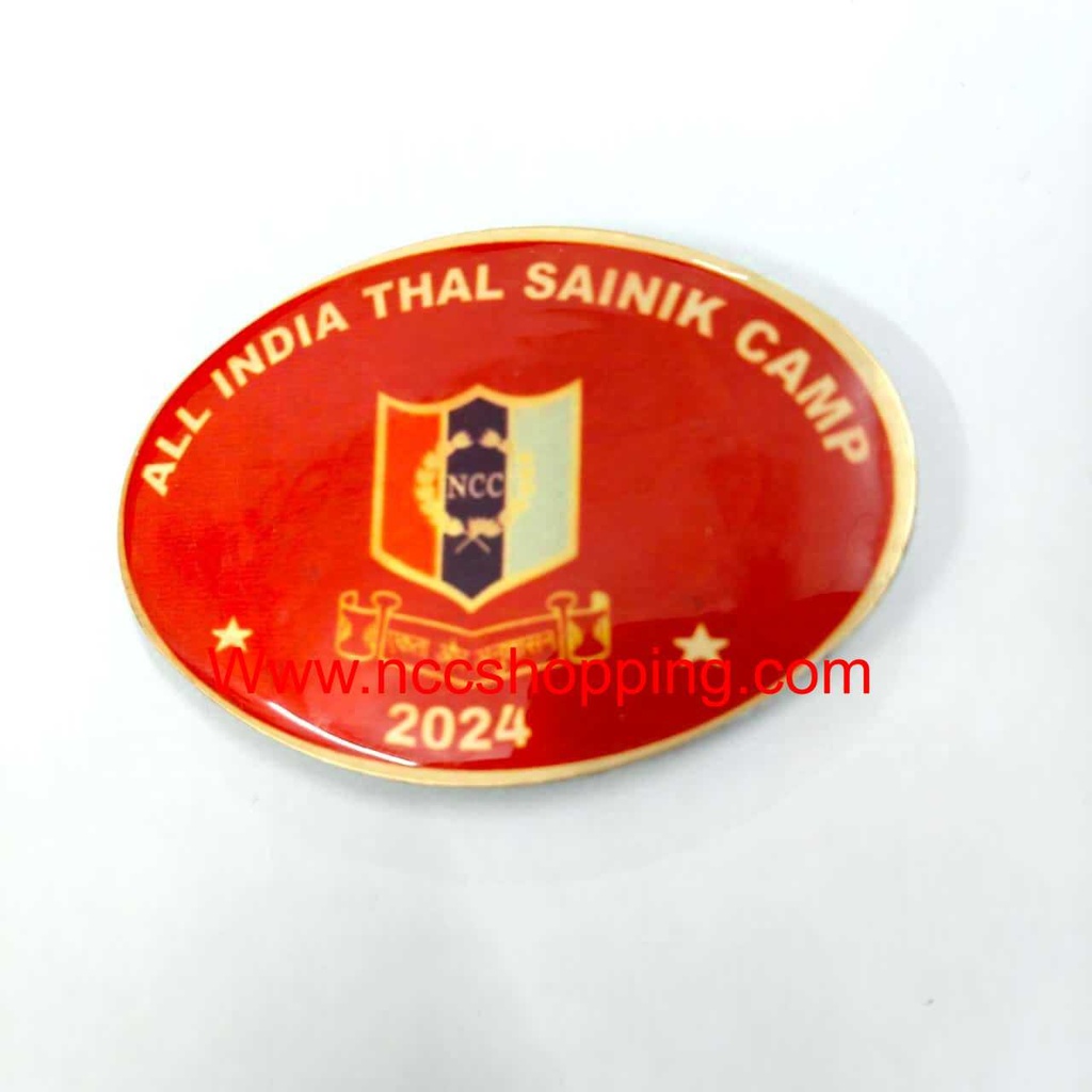 All India Thal Sainik camp NCC Badge