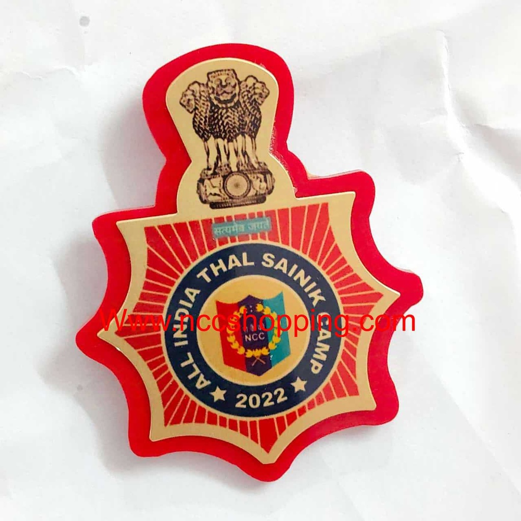 All India Thal Sainik camp NCC badge