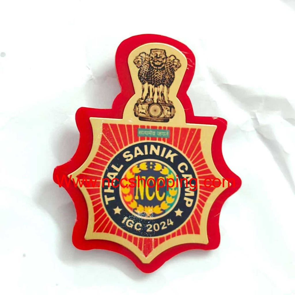 Thal Sainik camp igc Ncc Badge