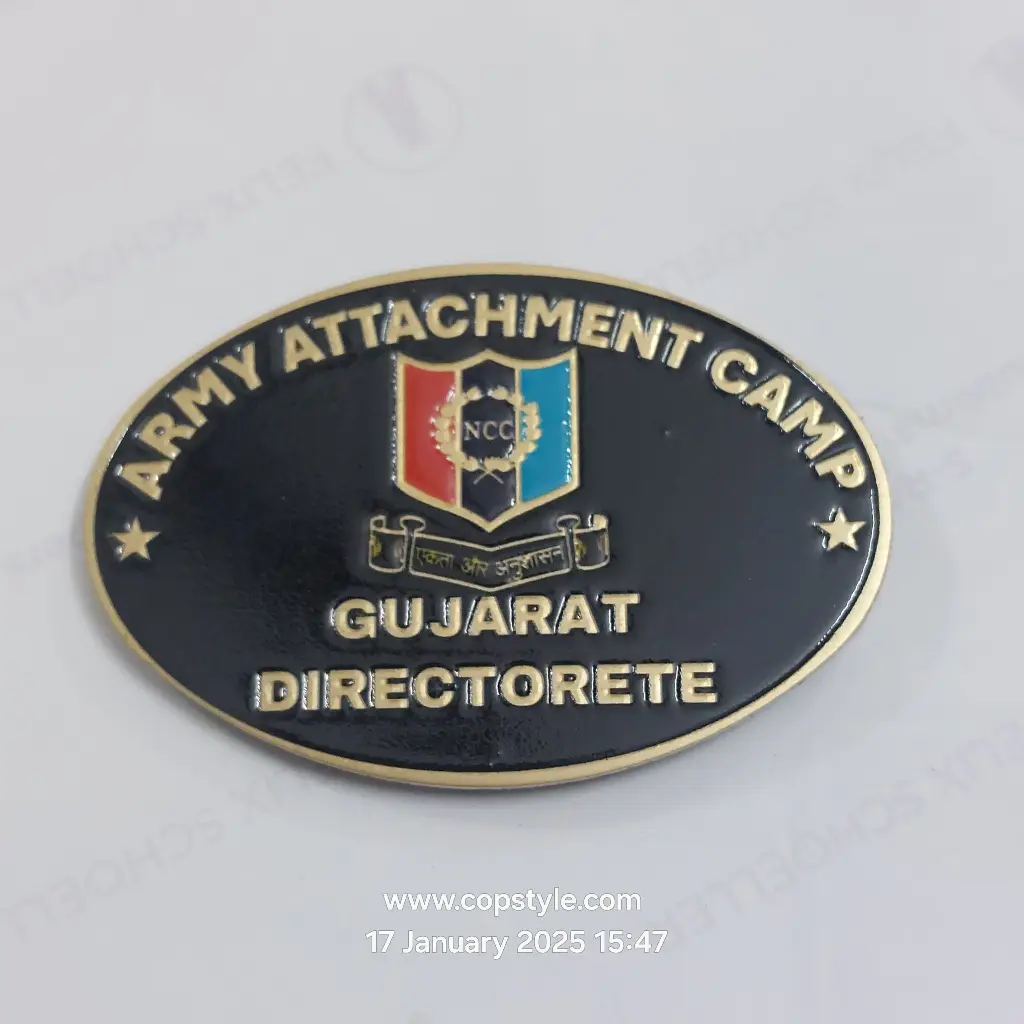 Army attachment camp Gujarat decorate NCC batch