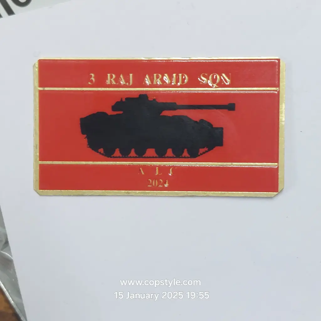 3 Raj Armd Sqn ALC 2024 Ncc badges