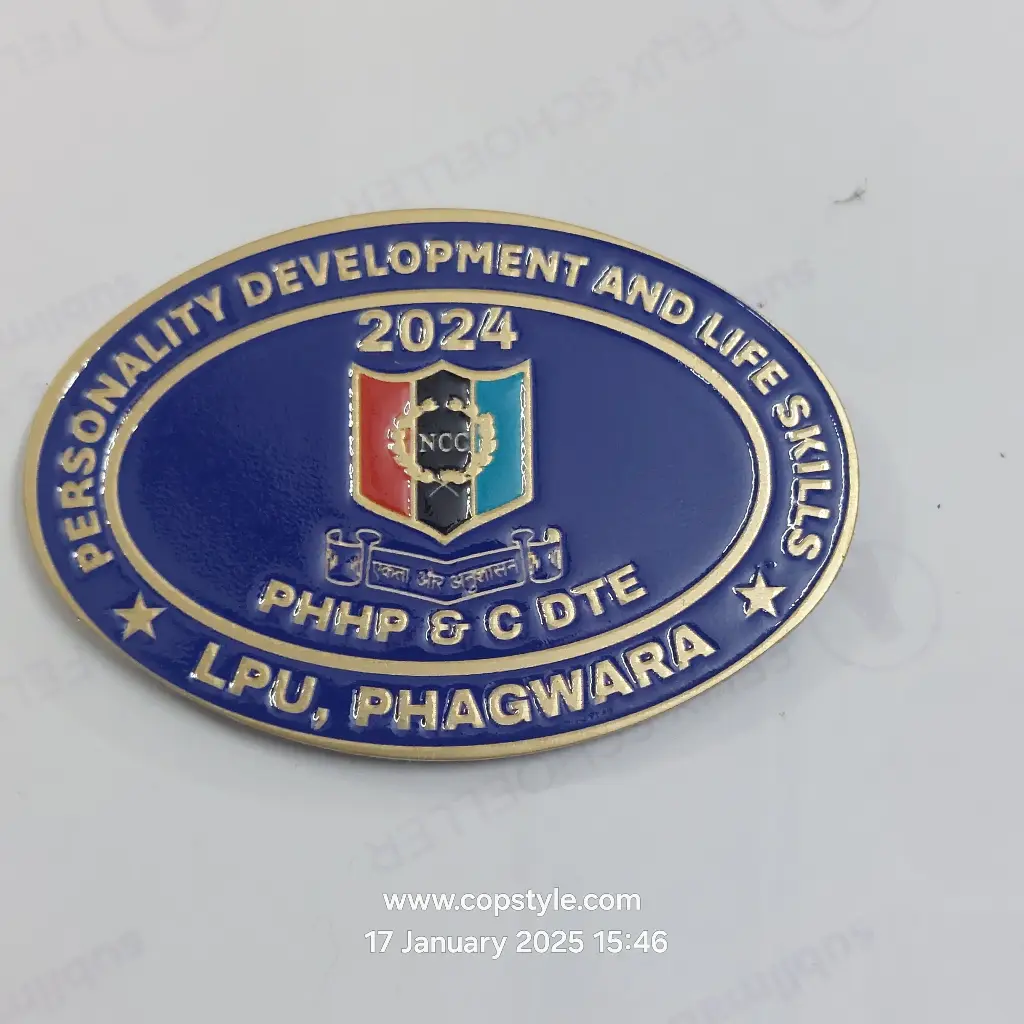 Personality development and life skills phhp & C dte lpu, Phagwara Ncc badge