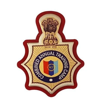 combined annual training camp badge