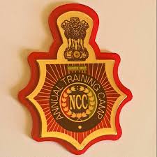 Annual training camp badge