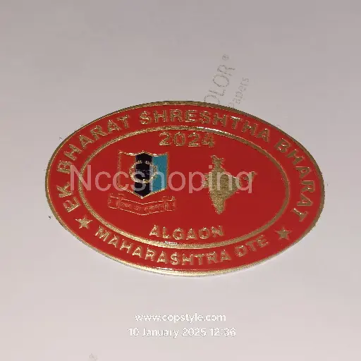 [Badges] Ek Bharat shreshth Bharat 2024 algaon Maharashtra DTE NCC batch