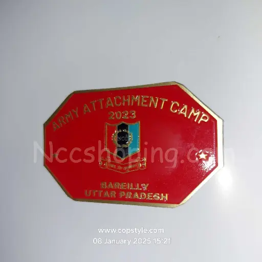 [Badges] Army attachment camp 2023 Bareilly Uttar Pradesh NCC batch