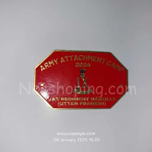 [Badges] Army attachment camp 2024 Jat Regiment Bareilly Uttar Pradesh