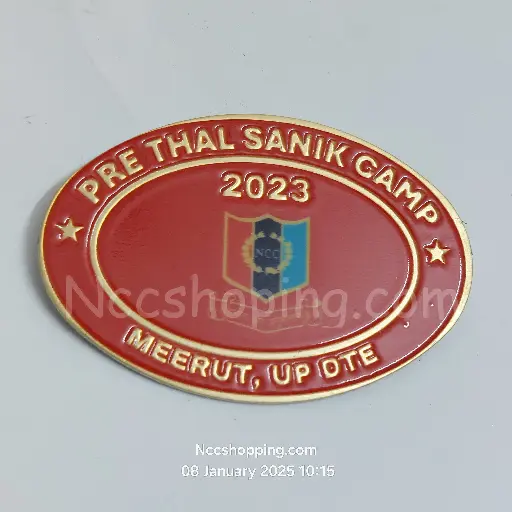[Badges] prithal Sainik camp 2023 Meerut UP DTE NCC batch