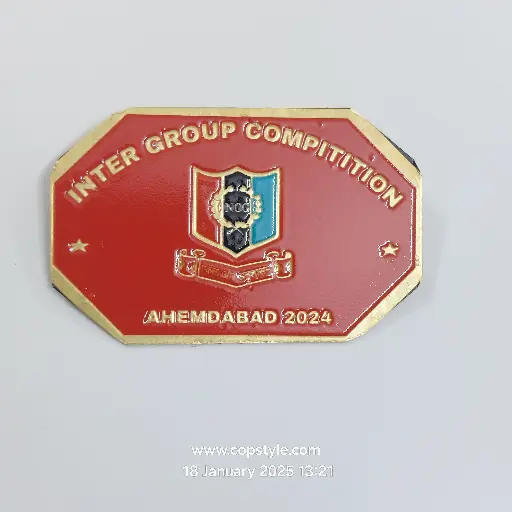 [badges] intergroup competition Ahmedabad 2024 NCC batch